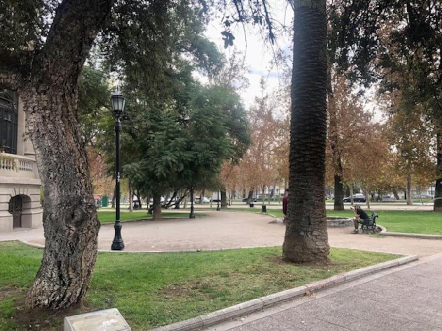 Apartamento Lindo Y Acogedor Departamento En Bellavista Santiago