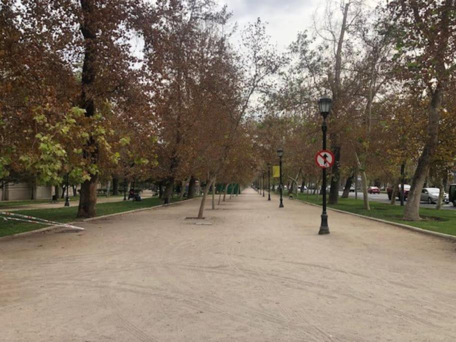 Apartamento Lindo Y Acogedor Departamento En Bellavista Santiago