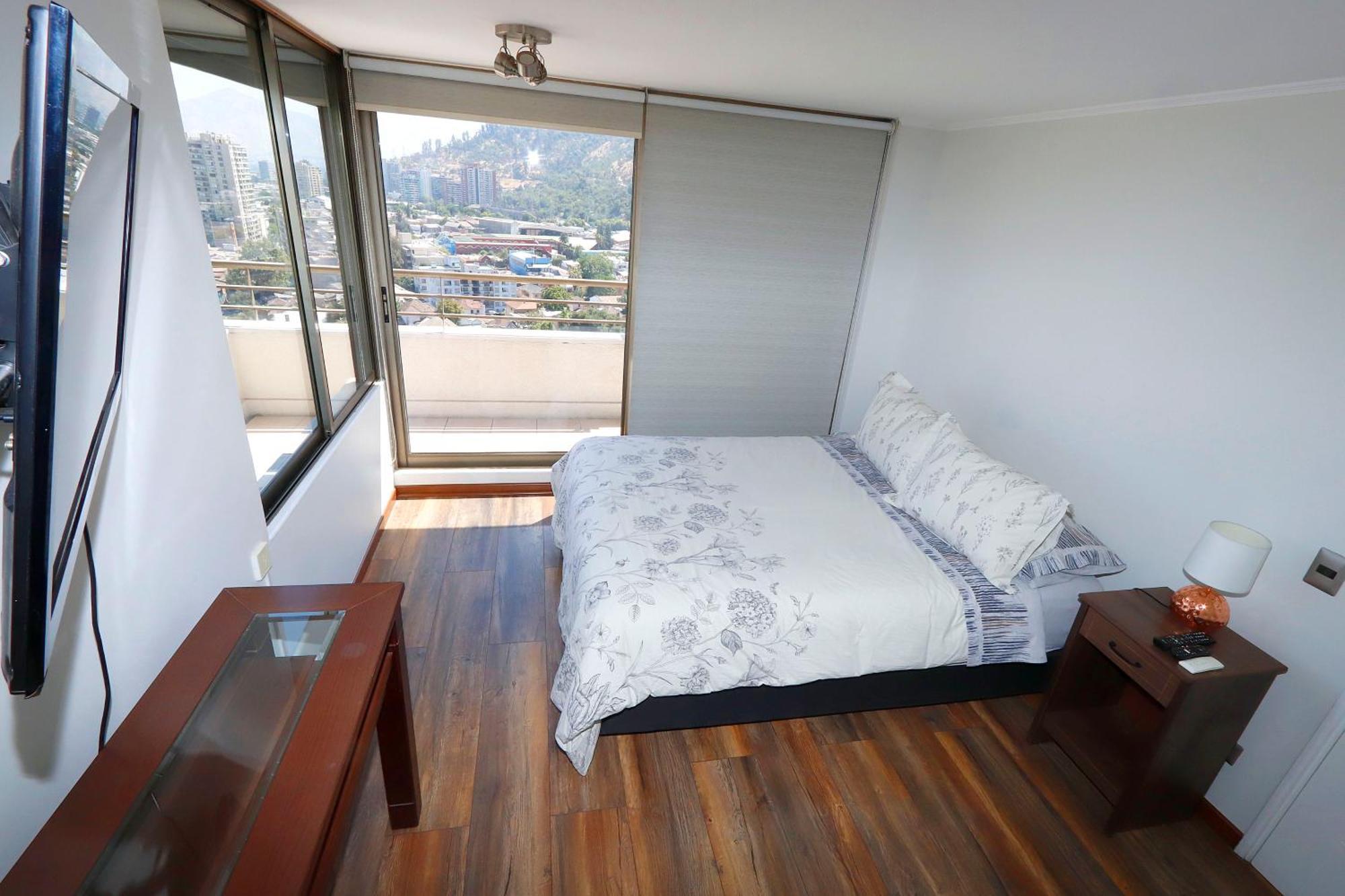 Apartamento Lindo Y Acogedor Departamento En Bellavista Santiago